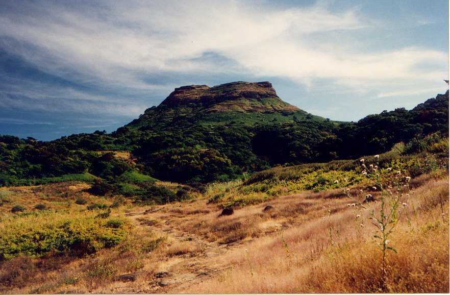 Malshej Ghat, road trips from Mumbai