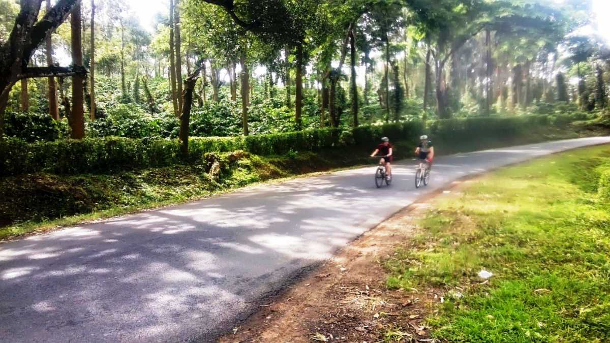 Cycling on the roads of Coorg