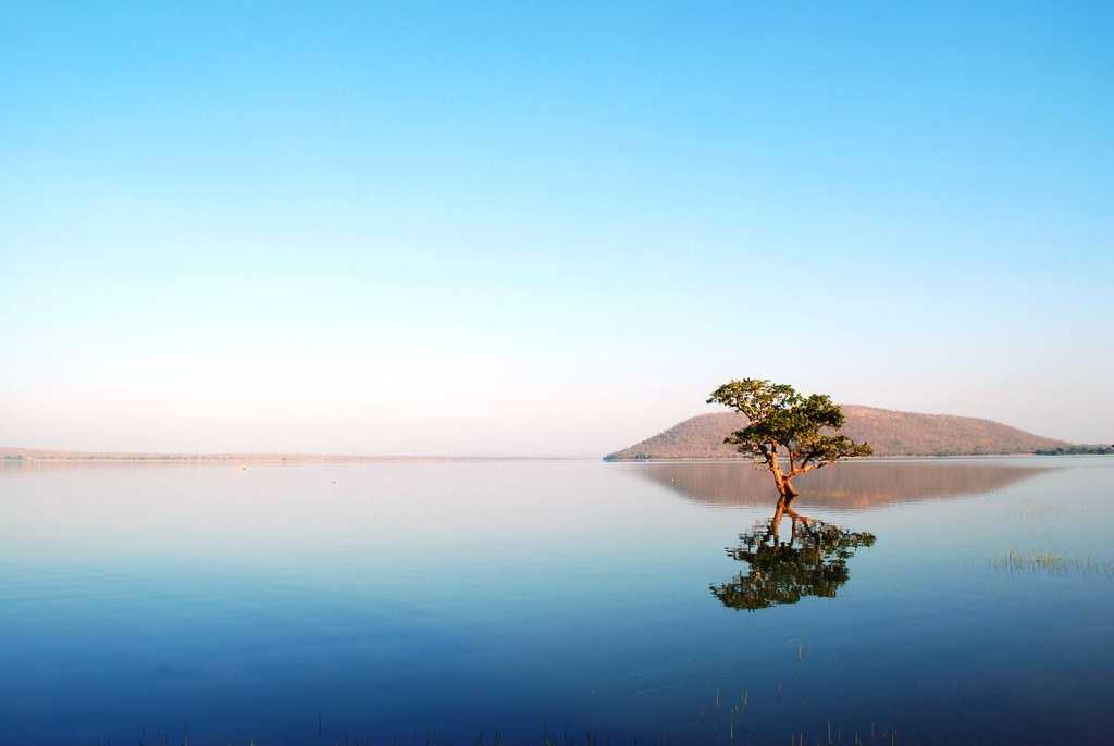 Lake near Pakhal Forest enroute Bhadrachalam (Picture credits- Alosh Bennet)