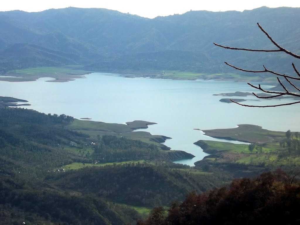 Bhakra Reservoir, Nangal Wetlands, places to visit near delhi in monsoon