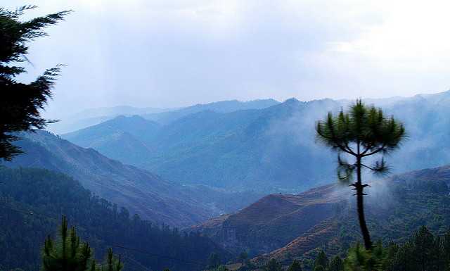 Munsiyari, places to visit near delhi in monsoon
