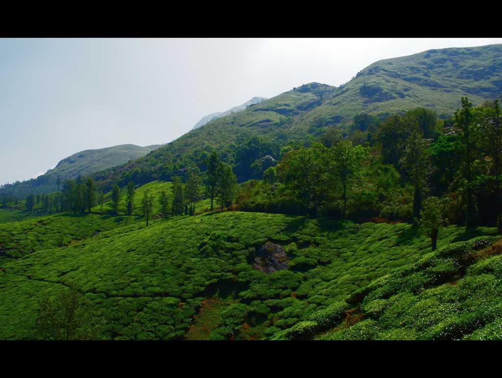 Kalpetta, Places to visit in January in India
