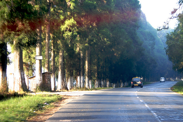Shillong to Cherrapunjee, best road trips in India