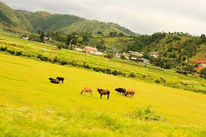 Mawsynram unexplored place in india