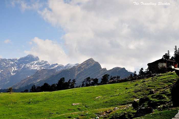 Chopta, Uttarakhand unexplored trek india