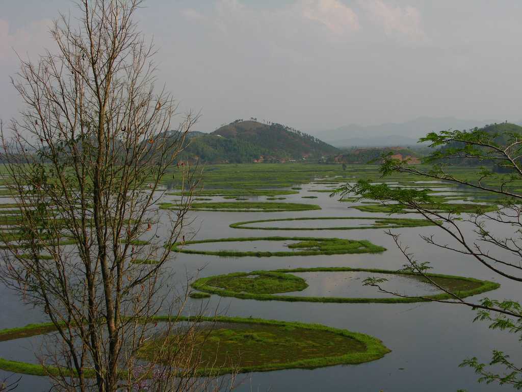 Loktak lake, largest floating island in the world