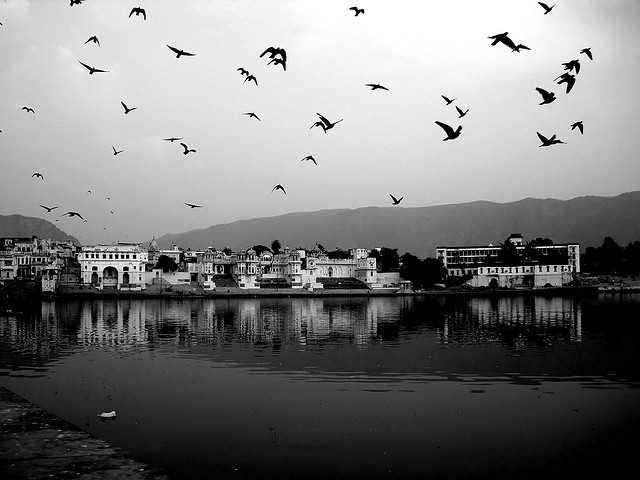 Pushkar, places to visit near delhi in winters