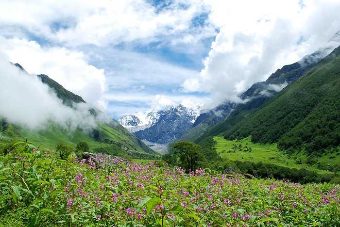 Valley of Flowers unexplored trek himalayas india