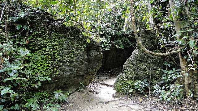 Limestone caves andamans