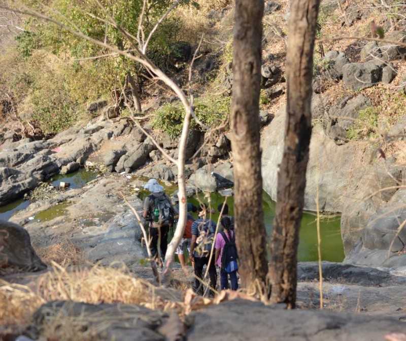 dried waterfall at sanjay gandhi national park