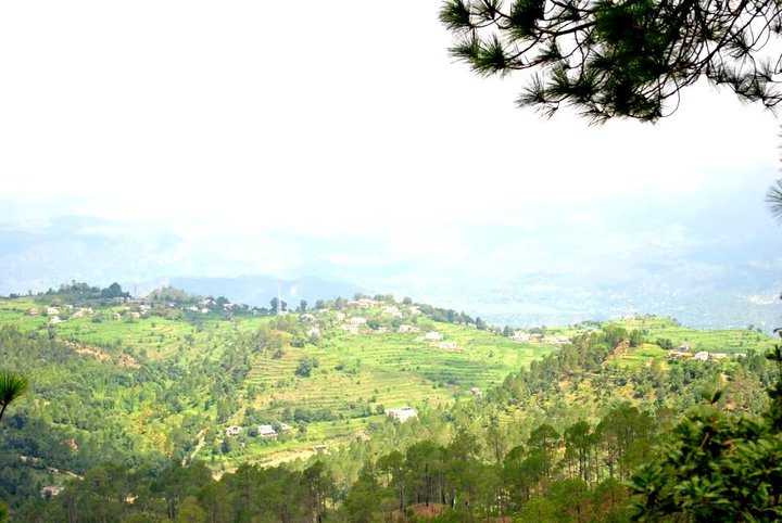 Ranikhet landscpaes