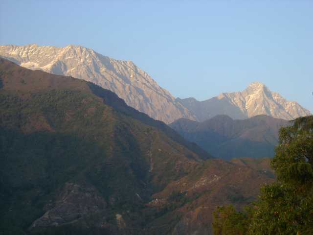 Sceneries from Dharamsala (Spurce)