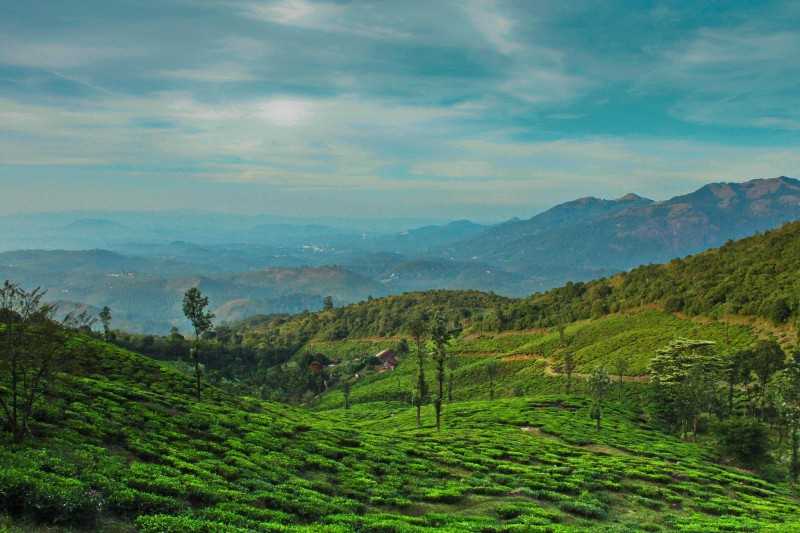 Wayanad, places to visit in april in india