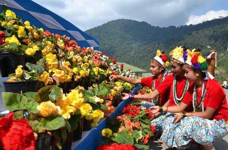 International flower Festival - Sikkim 