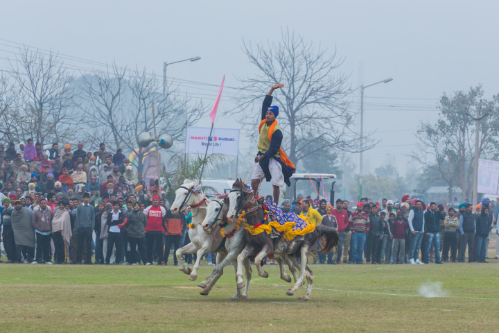 That’s how you gallop on three horses!