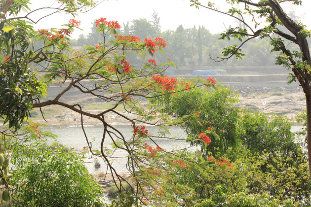 The view from my balcony at the Lotus Riverside Resort in Silvassa