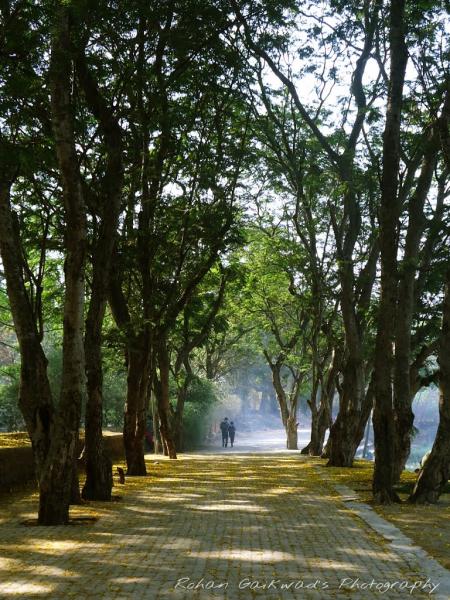 Sanjay Gandhi National Park, Haunted Places in India
