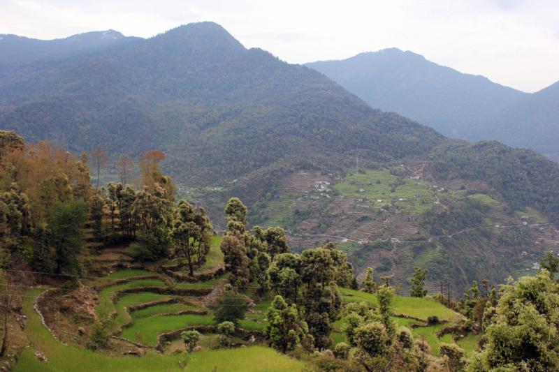 Terraced Mountains of Garhwal