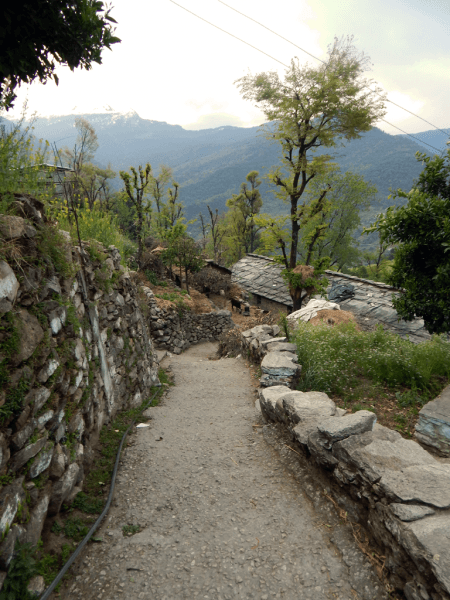 Walking through Sari