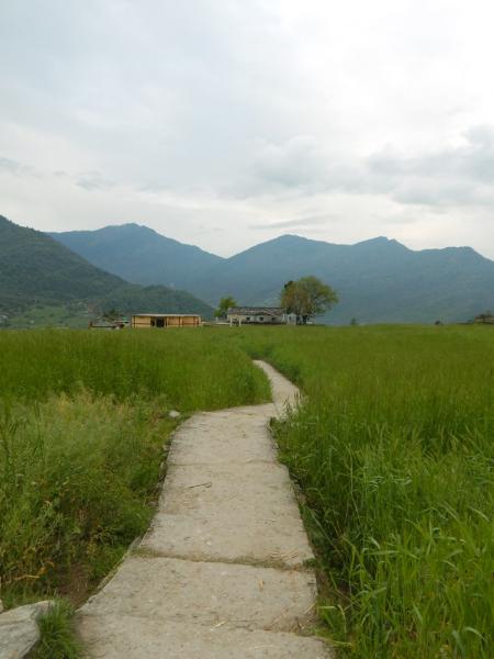 School at a distance