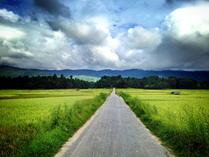 Rice fields at Ziro, November Holiday destinations