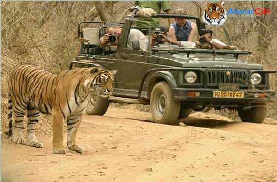 Sariska Tiger Reserve Sariska Tiger Reserve