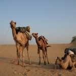 Best Places To Visit In India In February