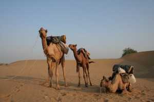 jaisalmer