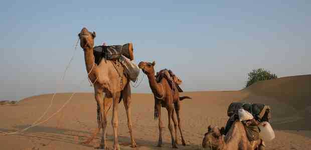 Best Places To Visit In India In February 