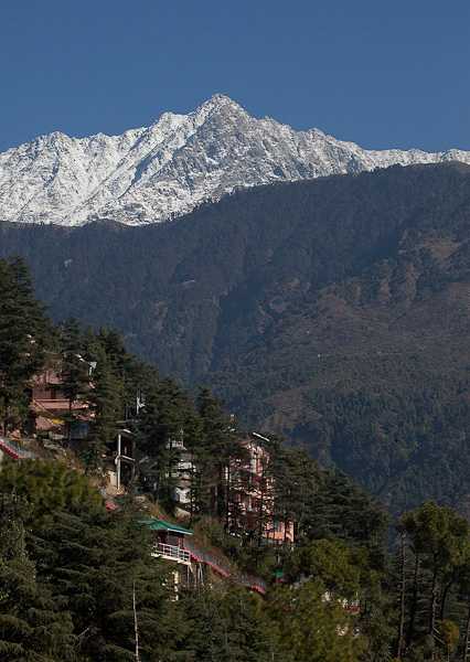 Dharamshala, Volunteer Travel in India