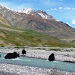 30 Places to Visit in June in India To Enjoy Summer Vacations