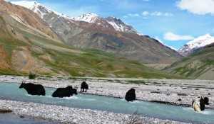 Picture credits: Thomas K @panoramio