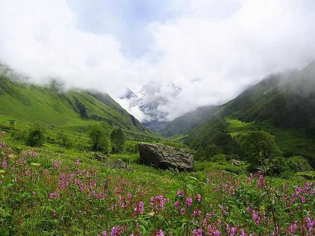 Valley of Flowers, Uttarakhand (Source)