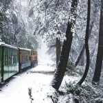 Places To Visit Near Delhi In Winters | Short Winter Trips From Delhi