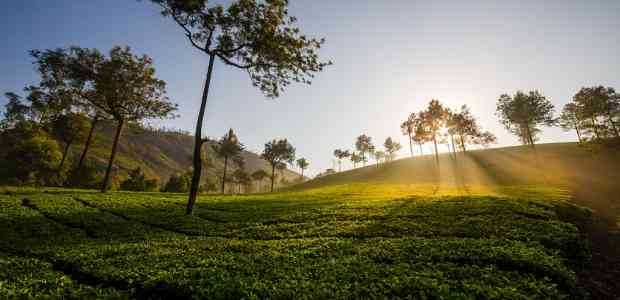 Best Places To Visit in March In India - 20 Must-Visit March Delights