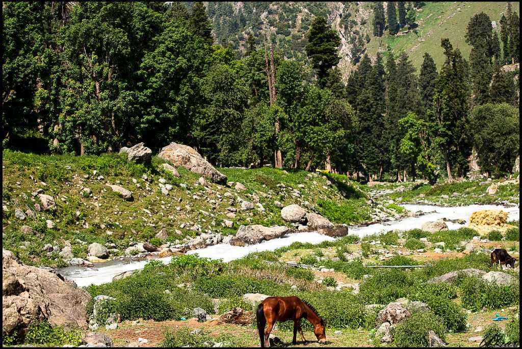 Amarnath Yatra route through Pahalgam