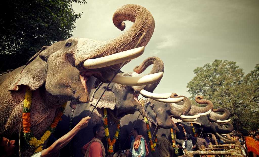 Thrissur elephant festival, tourist places in South India