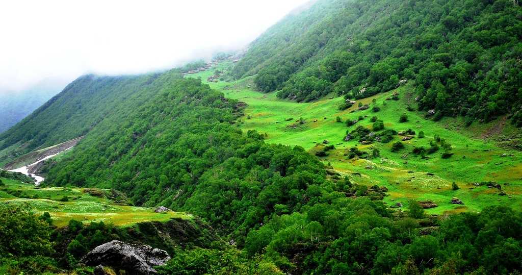 Nanda Devi and Valley of Flowers, World Heritage Sites in India