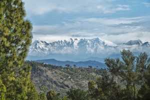 Almora, Uttarakhand (Source)