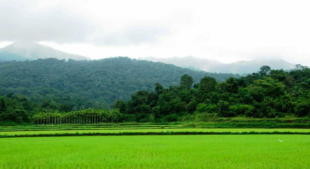 coorg, monsoon travel destination in India