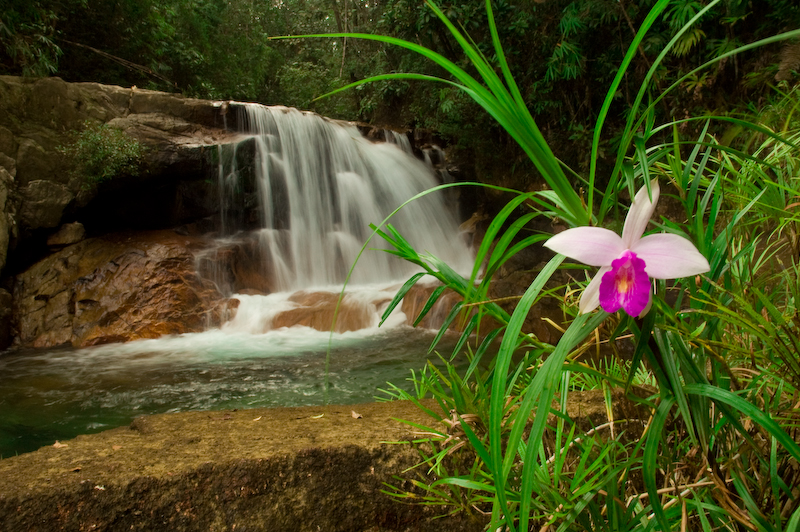 hebri trek in monsoon near Bangalore