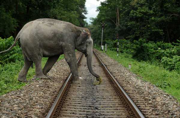 railway near Doors