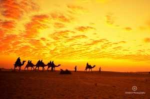 Jaisalmer Rajasthan Desert in September