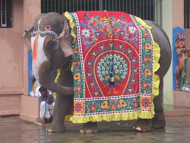 Sonpur Mela Bihar Fair and festival celebrations