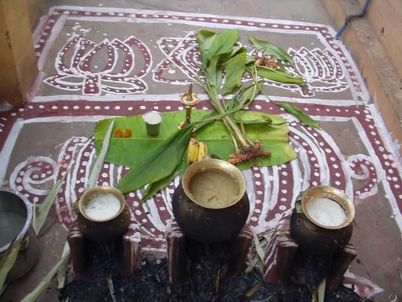 Pongal, Cultural Festivals in India