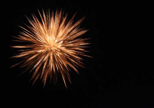 New Year's Celebration goa visit in december