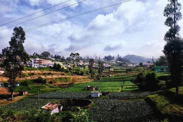 Ooty, Places near Bangalore for Winter