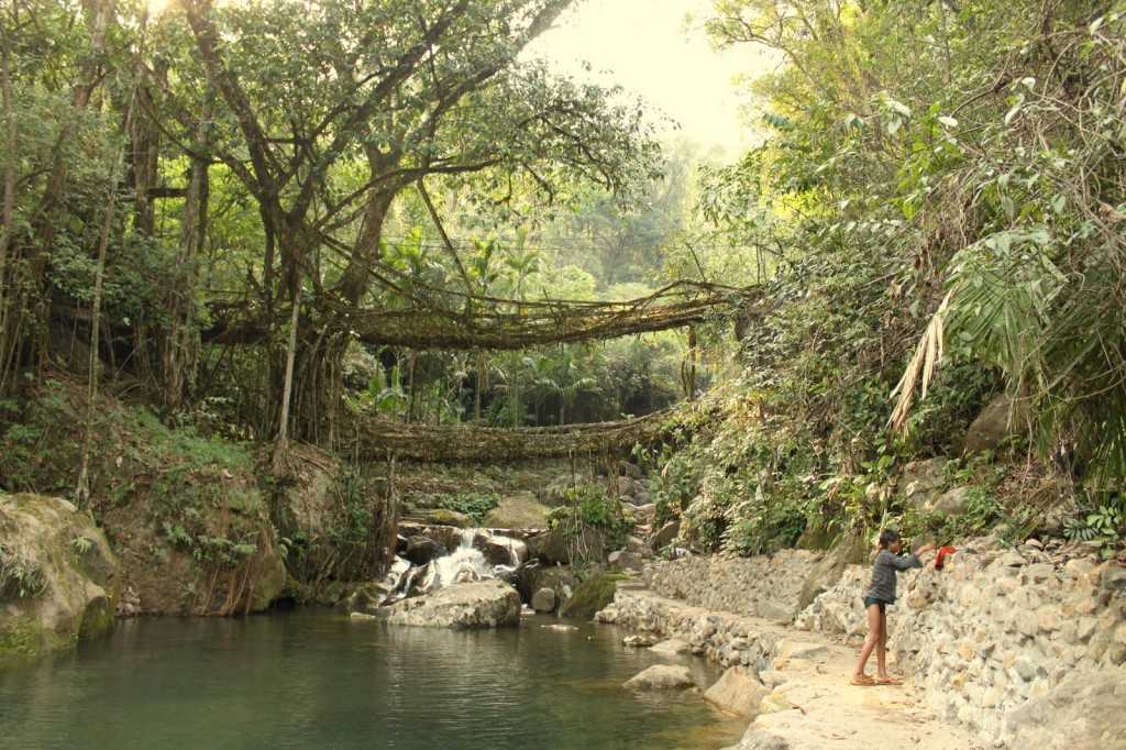 Double decker living root bridge, Places to visit in meghalaya