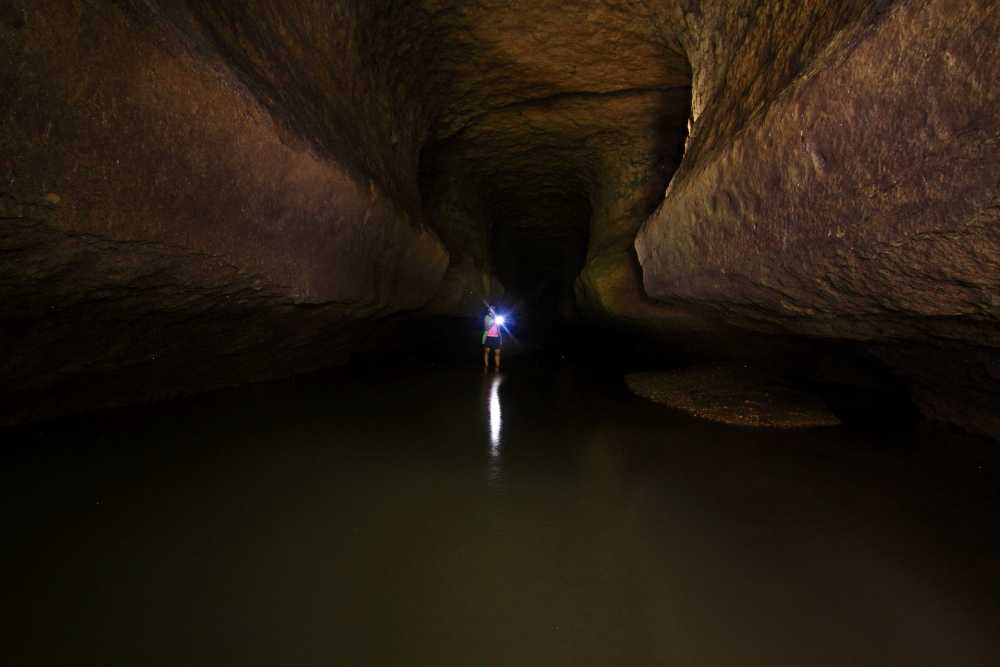 Siju Cave bat Cave