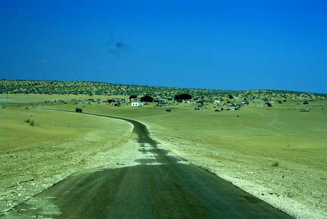 Border Town of Rajasthan, Safari in the Jaisalmer desert